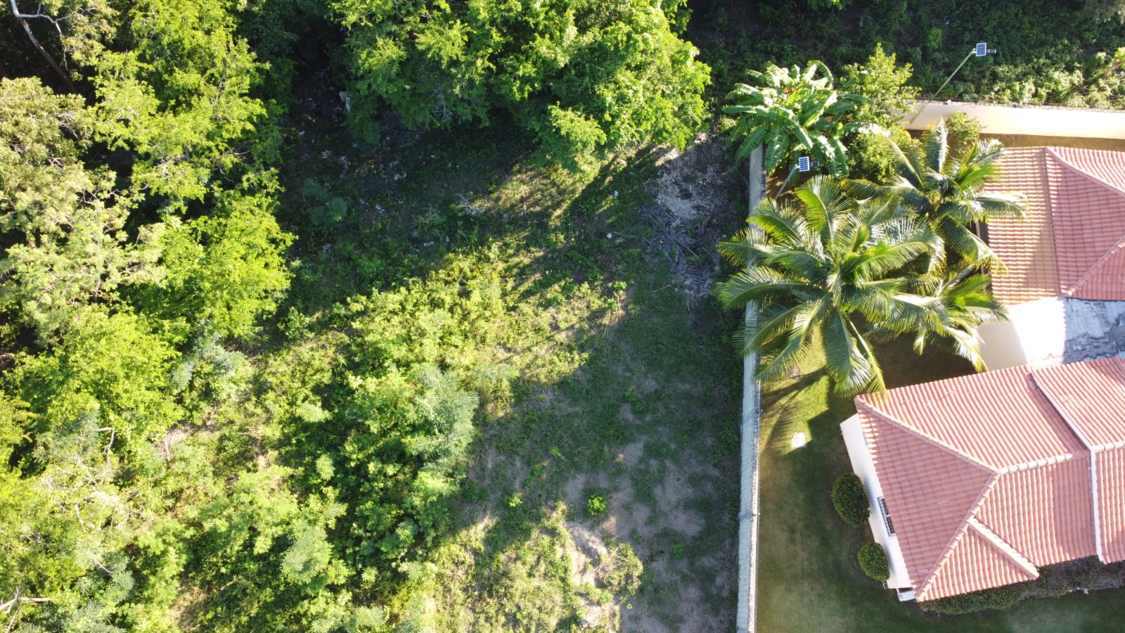 DJI_0445
