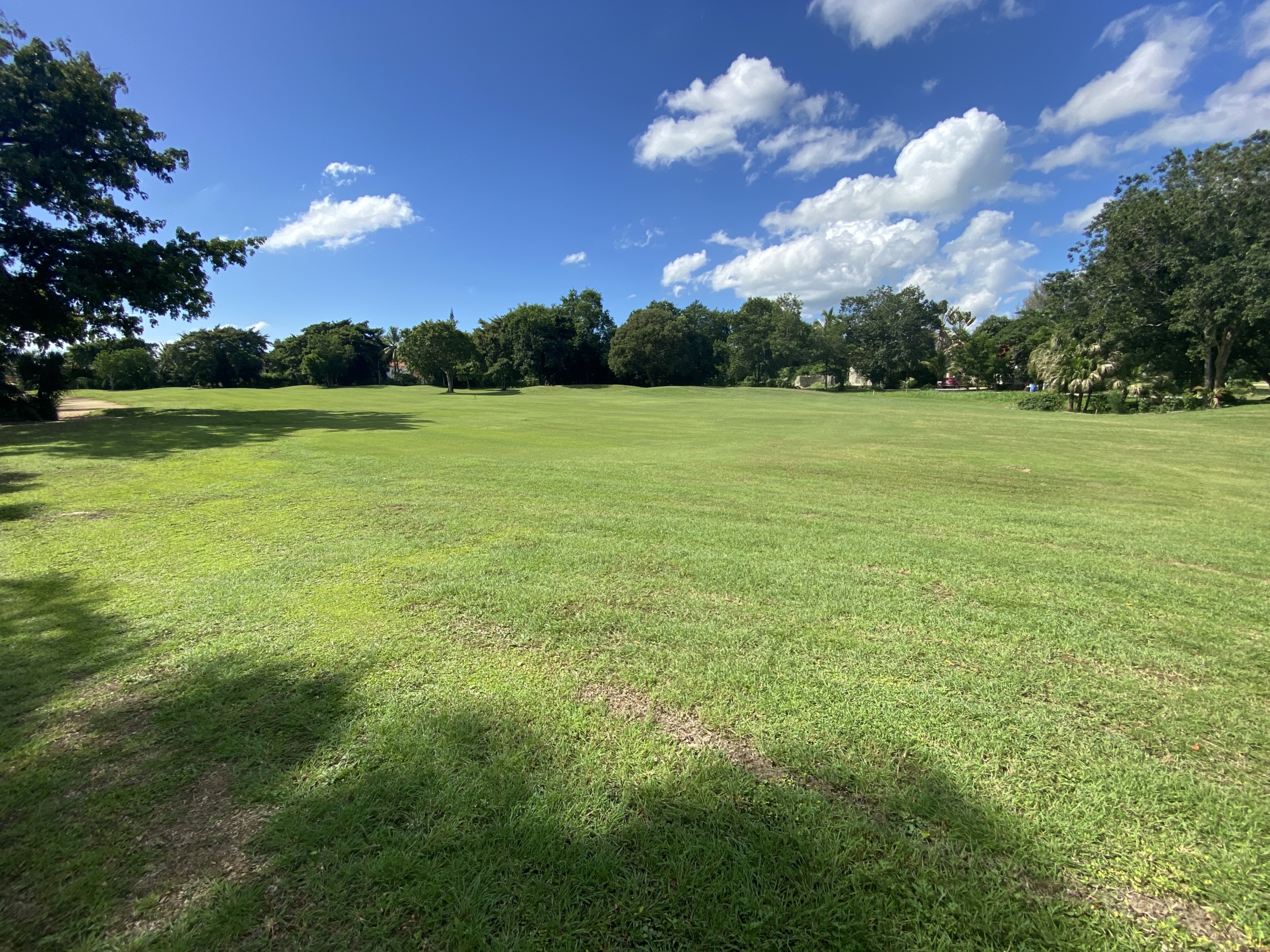 Golf view